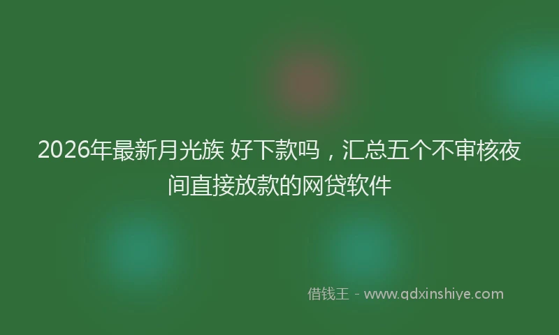 2026年最新月光族 好下款吗，汇总五个不审核夜间直接放款的网贷软件