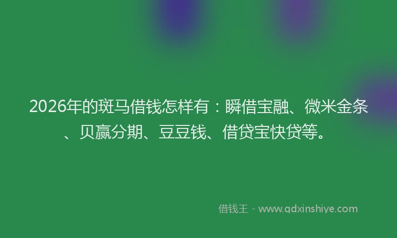 2026年的斑马借钱怎样有：瞬借宝融、微米金条、贝赢分期、豆豆钱、借贷宝快贷等。