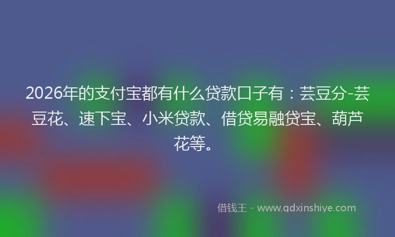 2026年的支付宝都有什么贷款口子有：芸豆分-芸豆花、速下宝、小米贷款、借贷易融贷宝、葫芦花等。