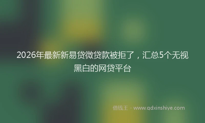 2026年最新新易贷微贷款被拒了，汇总5个无视黑白的网贷平台