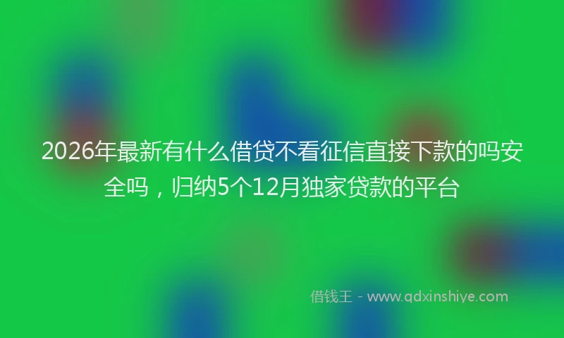2026年最新有什么借贷不看征信直接下款的吗安全吗，归纳5个12月独家贷款的平台