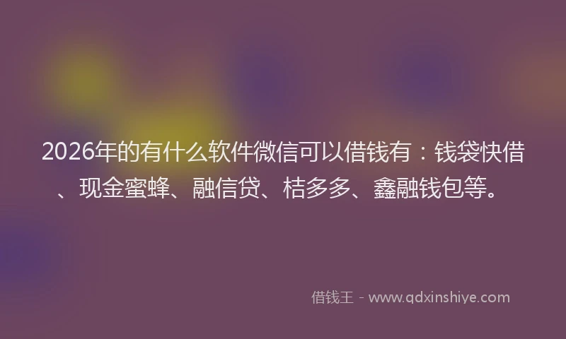 2026年的有什么软件微信可以借钱有：钱袋快借、现金蜜蜂、融信贷、桔多多、鑫融钱包等。