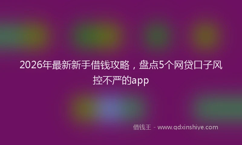 2026年最新新手借钱攻略，盘点5个网贷口子风控不严的app