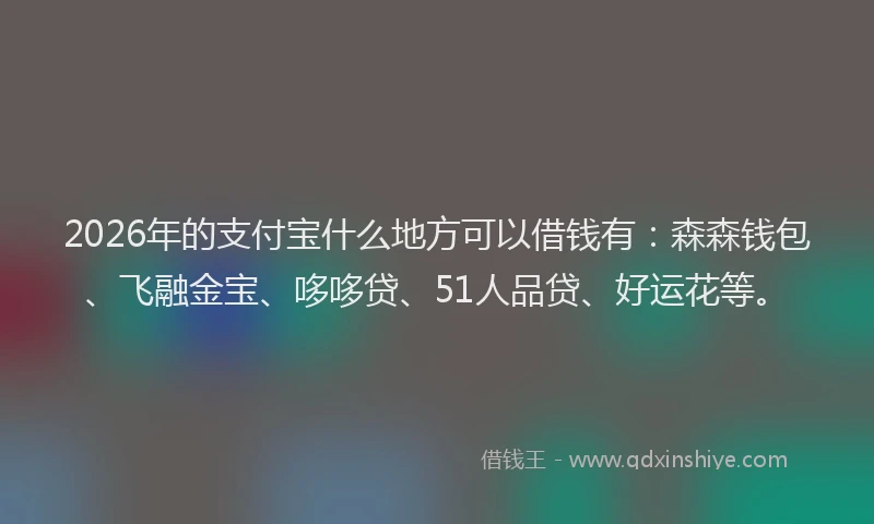 2026年的支付宝什么地方可以借钱有：森森钱包、飞融金宝、哆哆贷、51人品贷、好运花等。