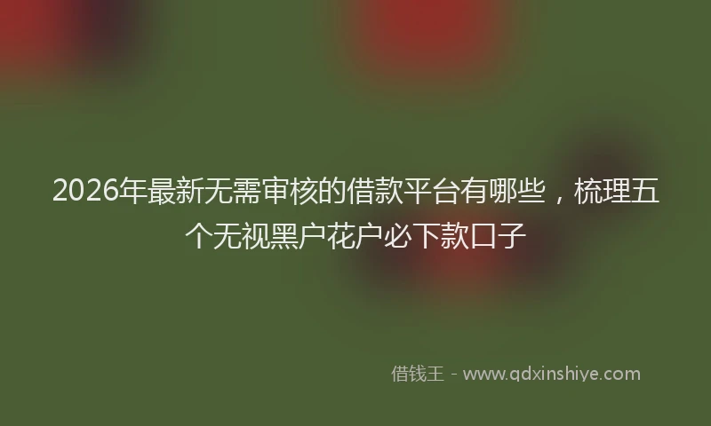 2026年最新无需审核的借款平台有哪些，梳理五个无视黑户花户必下款口子