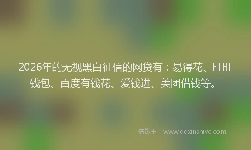 2026年的无视黑白征信的网贷有：易得花、旺旺钱包、百度有钱花、爱钱进、美团借钱等。