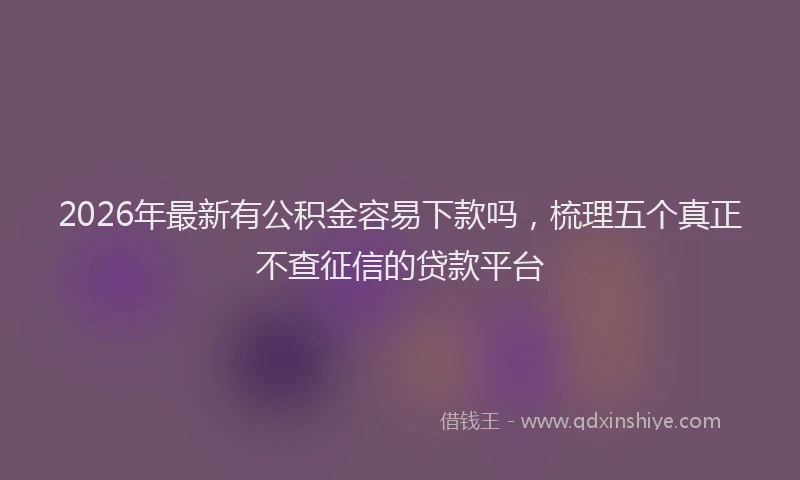 2026年最新有公积金容易下款吗，梳理五个真正不查征信的贷款平台