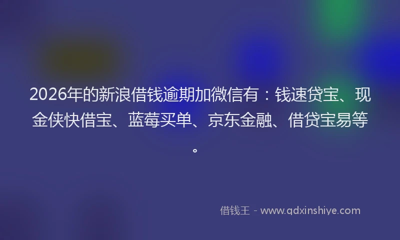 2026年的新浪借钱逾期加微信有：钱速贷宝、现金侠快借宝、蓝莓买单、京东金融、借贷宝易等。