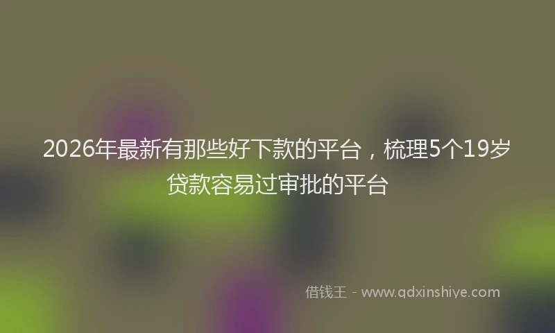 2026年最新有那些好下款的平台，梳理5个19岁贷款容易过审批的平台