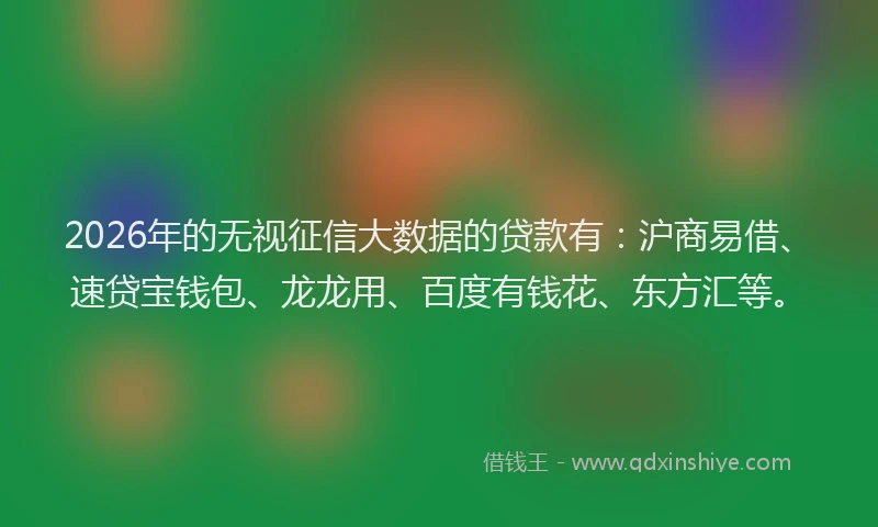 2026年的无视征信大数据的贷款有：沪商易借、速贷宝钱包、龙龙用、百度有钱花、东方汇等。