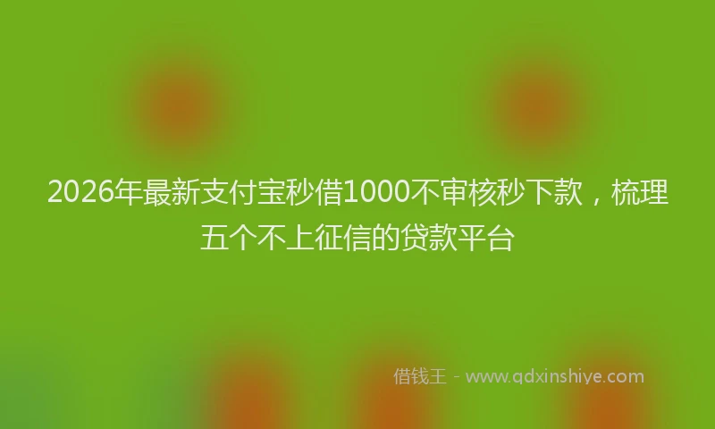 2026年最新支付宝秒借1000不审核秒下款，梳理五个不上征信的贷款平台