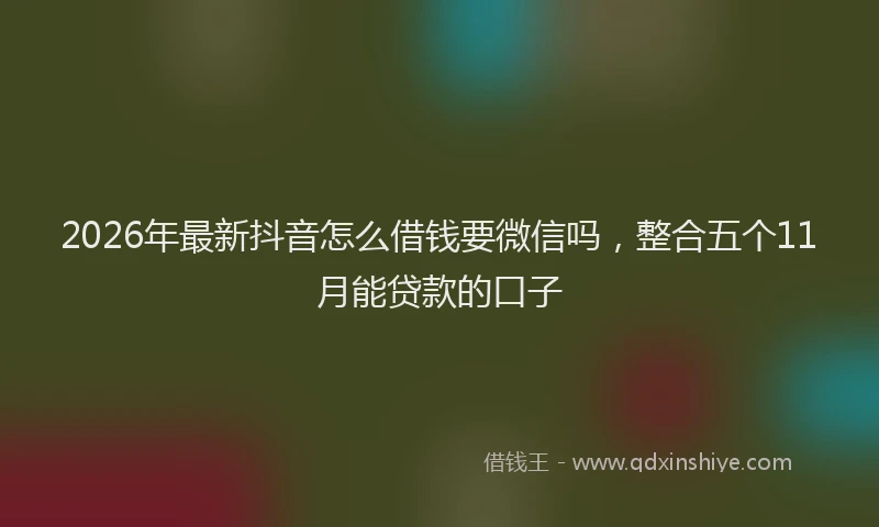 2026年最新抖音怎么借钱要微信吗，整合五个11月能贷款的口子