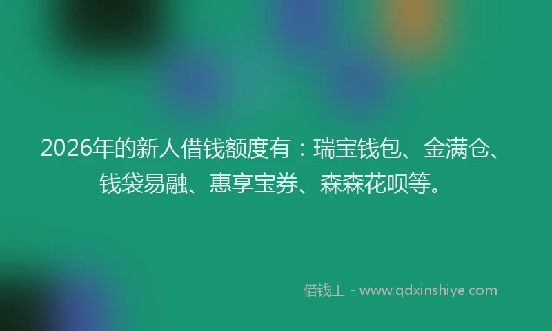2026年的新人借钱额度有：瑞宝钱包、金满仓、钱袋易融、惠享宝券、森森花呗等。