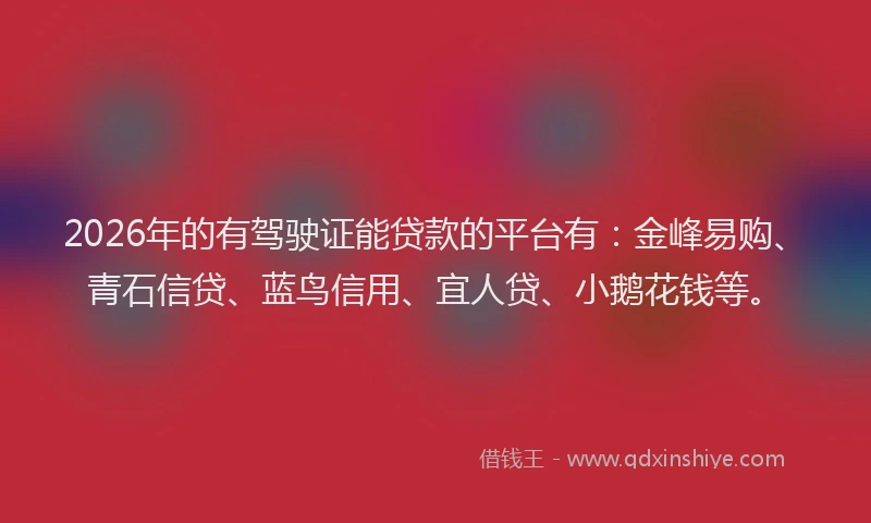 2026年的有驾驶证能贷款的平台有：金峰易购、青石信贷、蓝鸟信用、宜人贷、小鹅花钱等。