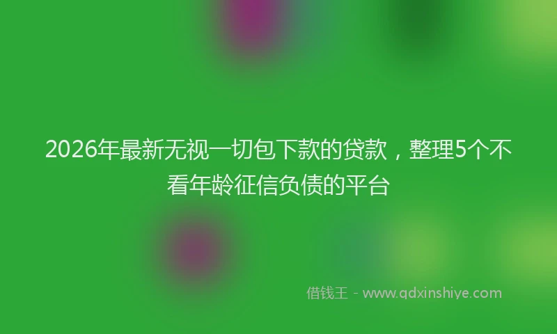 2026年最新无视一切包下款的贷款，整理5个不看年龄征信负债的平台