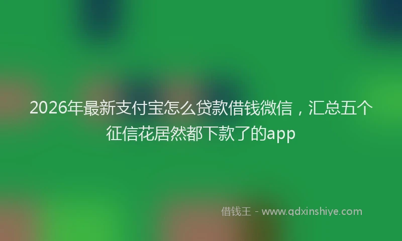 2026年最新支付宝怎么贷款借钱微信，汇总五个征信花居然都下款了的app