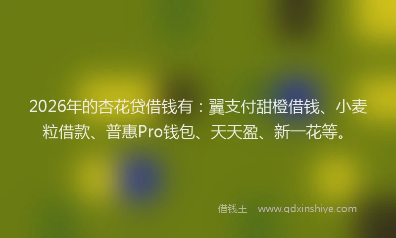 2026年的杏花贷借钱有：翼支付甜橙借钱、小麦粒借款、普惠Pro钱包、天天盈、新一花等。