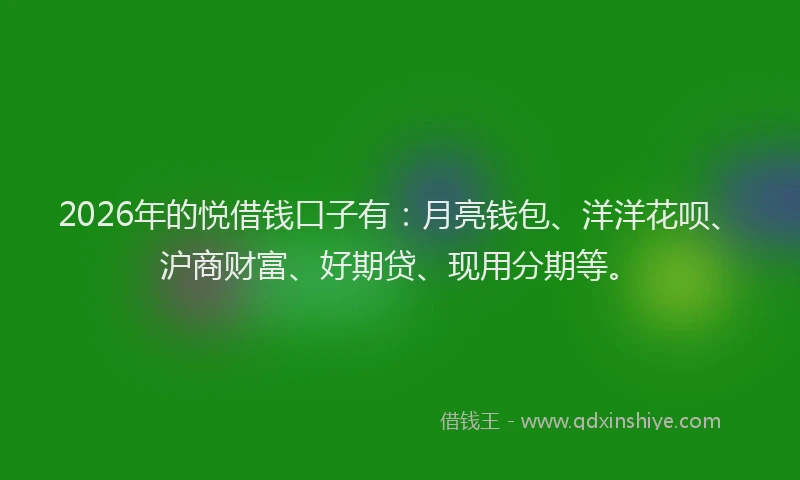 2026年的悦借钱口子有：月亮钱包、洋洋花呗、沪商财富、好期贷、现用分期等。