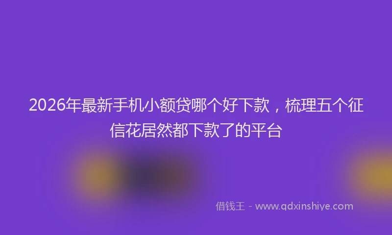 2026年最新手机小额贷哪个好下款，梳理五个征信花居然都下款了的平台