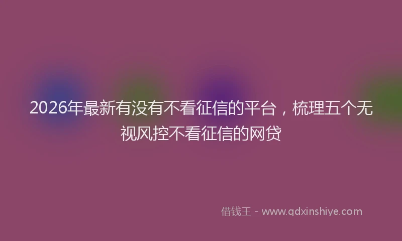 2026年最新有没有不看征信的平台，梳理五个无视风控不看征信的网贷