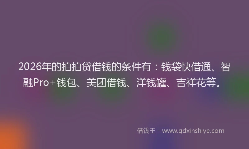 2026年的拍拍贷借钱的条件有：钱袋快借通、智融Pro+钱包、美团借钱、洋钱罐、吉祥花等。