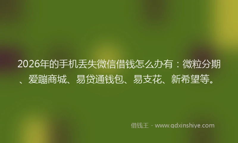 2026年的手机丢失微信借钱怎么办有：微粒分期、爱蹦商城、易贷通钱包、易支花、新希望等。