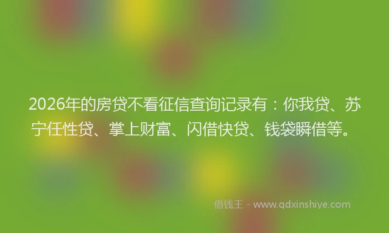 2026年的房贷不看征信查询记录有：你我贷、苏宁任性贷、掌上财富、闪借快贷、钱袋瞬借等。
