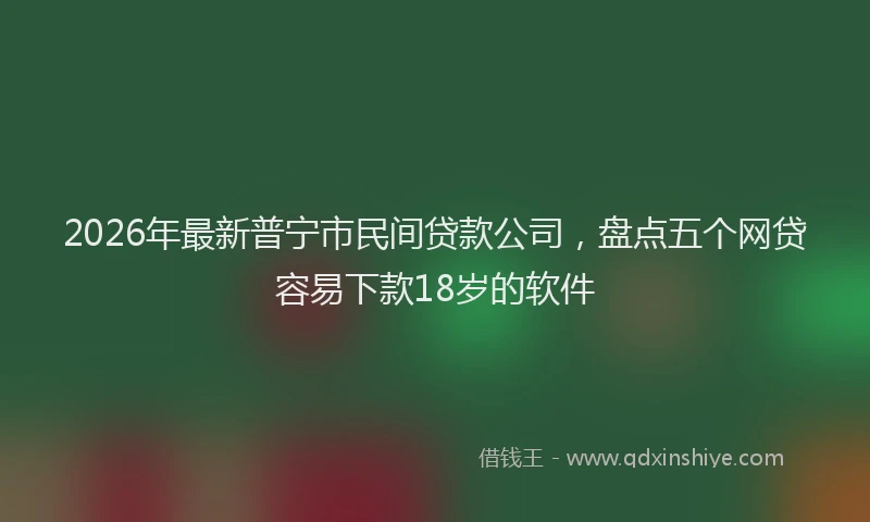 2026年最新普宁市民间贷款公司，盘点五个网贷容易下款18岁的软件