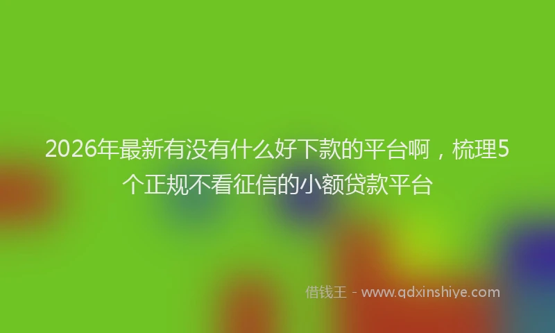 2026年最新有没有什么好下款的平台啊，梳理5个正规不看征信的小额贷款平台