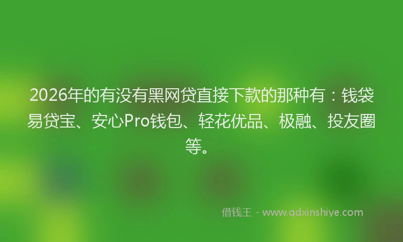 2026年的有没有黑网贷直接下款的那种有：钱袋易贷宝、安心Pro钱包、轻花优品、极融、投友圈等。