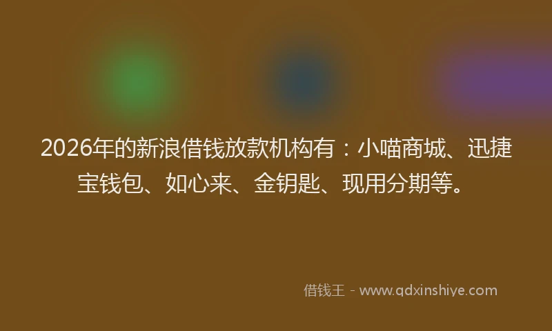 2026年的新浪借钱放款机构有：小喵商城、迅捷宝钱包、如心来、金钥匙、现用分期等。