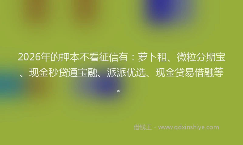 2026年的押本不看征信有：萝卜租、微粒分期宝、现金秒贷通宝融、派派优选、现金贷易借融等。