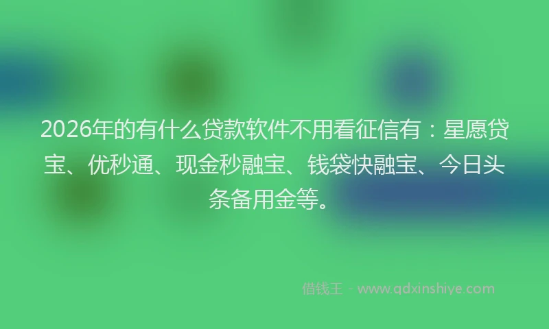 2026年的有什么贷款软件不用看征信有：星愿贷宝、优秒通、现金秒融宝、钱袋快融宝、今日头条备用金等。