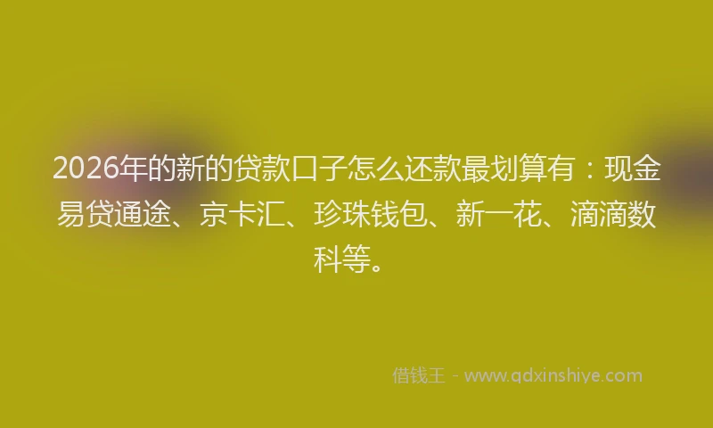 2026年的新的贷款口子怎么还款最划算有：现金易贷通途、京卡汇、珍珠钱包、新一花、滴滴数科等。