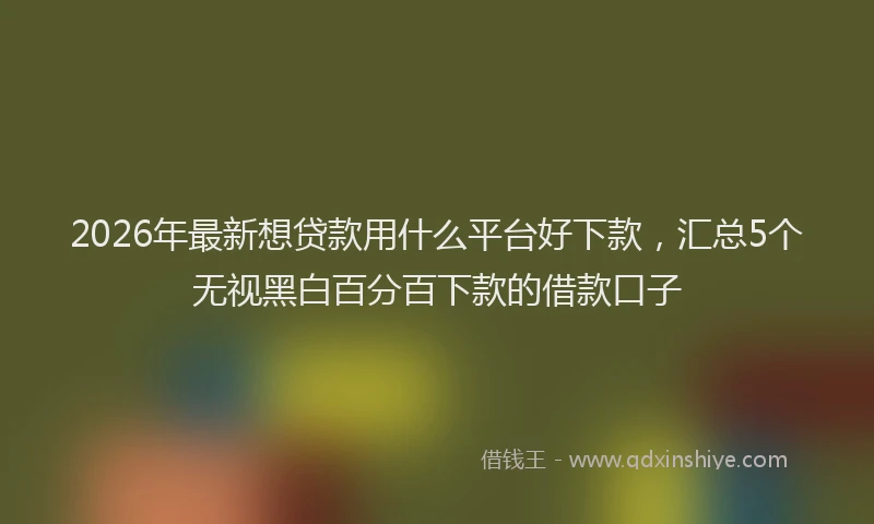 2026年最新想贷款用什么平台好下款，汇总5个无视黑白百分百下款的借款口子