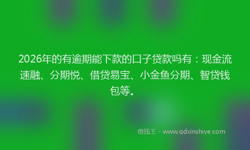 2026年的有逾期能下款的口子贷款吗有：现金流速融、分期悦、借贷易宝、小金鱼分期、智贷钱包等。