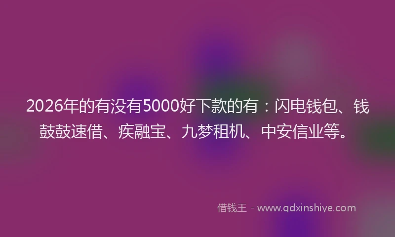 2026年的有没有5000好下款的有：闪电钱包、钱鼓鼓速借、疾融宝、九梦租机、中安信业等。