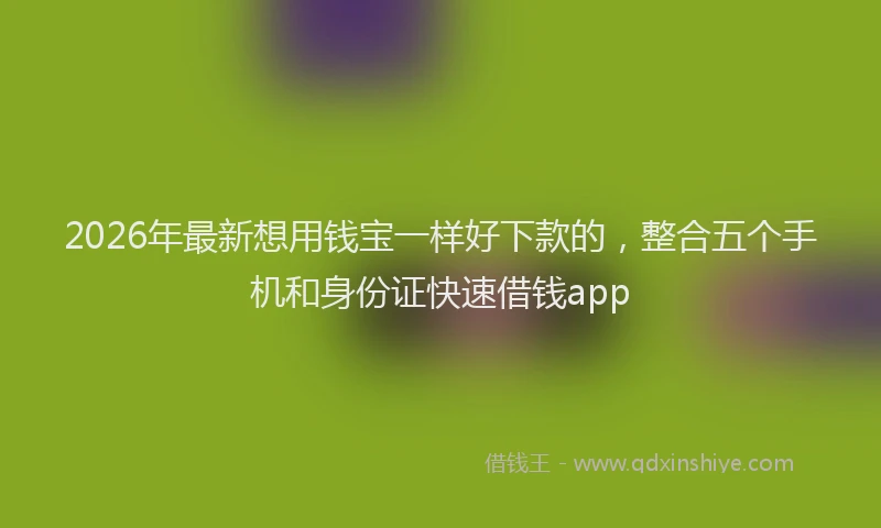 2026年最新想用钱宝一样好下款的,整合五个手机和身份证快速借钱app