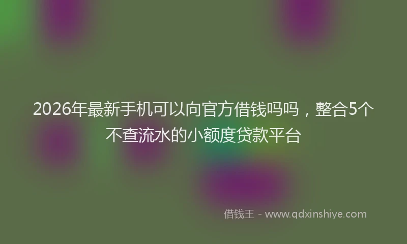 2026年最新手机可以向官方借钱吗吗，整合5个不查流水的小额度贷款平台