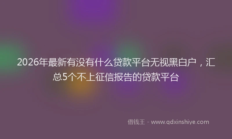 2026年最新有没有什么贷款平台无视黑白户，汇总5个不上征信报告的贷款平台