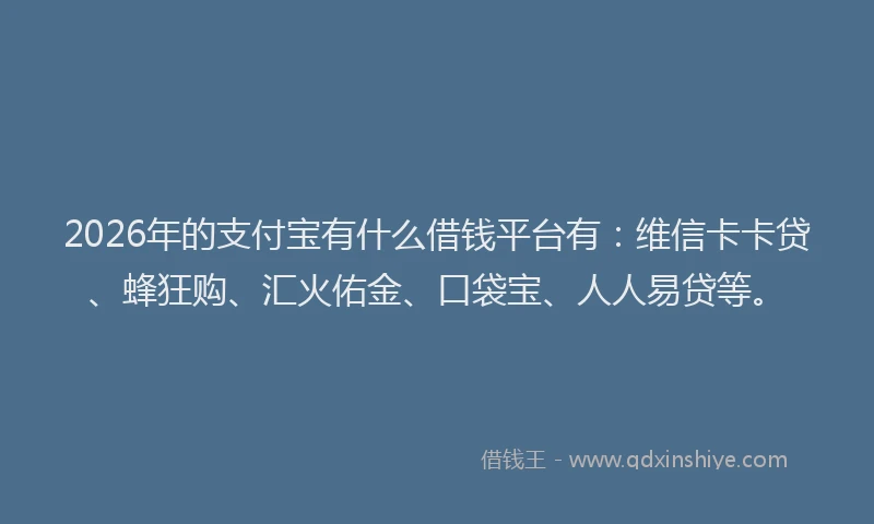 2026年的支付宝有什么借钱平台有：维信卡卡贷、蜂狂购、汇火佑金、口袋宝、人人易贷等。