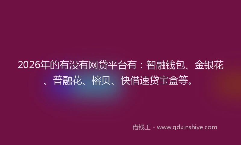 2026年的有没有网贷平台有：智融钱包、金银花、普融花、榕贝、快借速贷宝盒等。