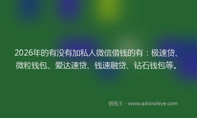 2026年的有没有加私人微信借钱的有：极速贷、微粒钱包、爱达速贷、钱速融贷、钻石钱包等。