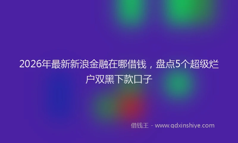 2026年最新新浪金融在哪借钱，盘点5个超级烂户双黑下款口子
