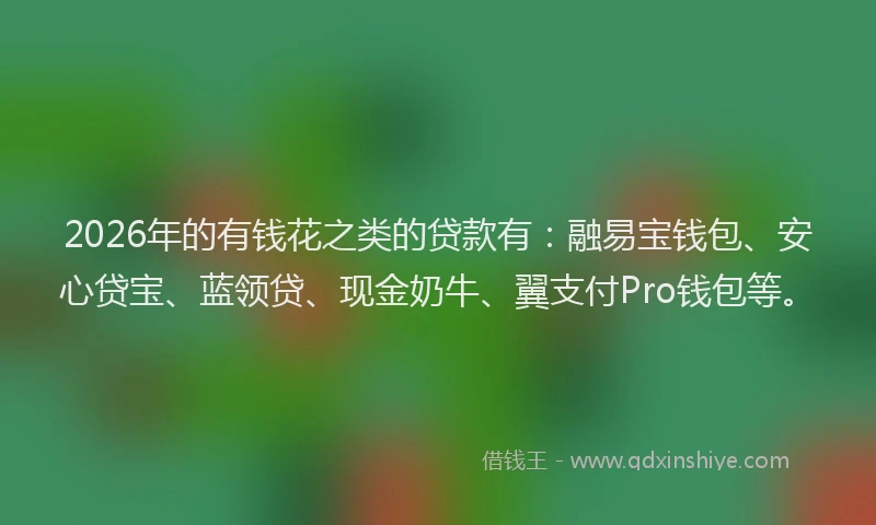 2026年的有钱花之类的贷款有：融易宝钱包、安心贷宝、蓝领贷、现金奶牛、翼支付Pro钱包等。