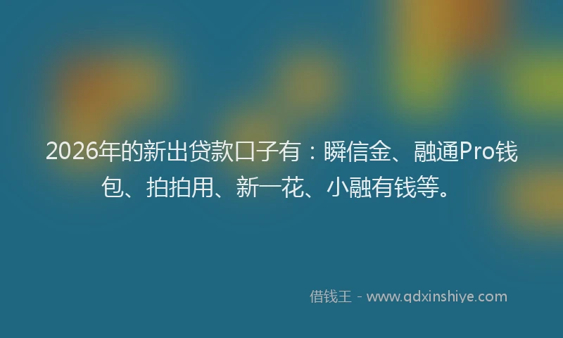 2026年的新出贷款口子有：瞬信金、融通Pro钱包、拍拍用、新一花、小融有钱等。