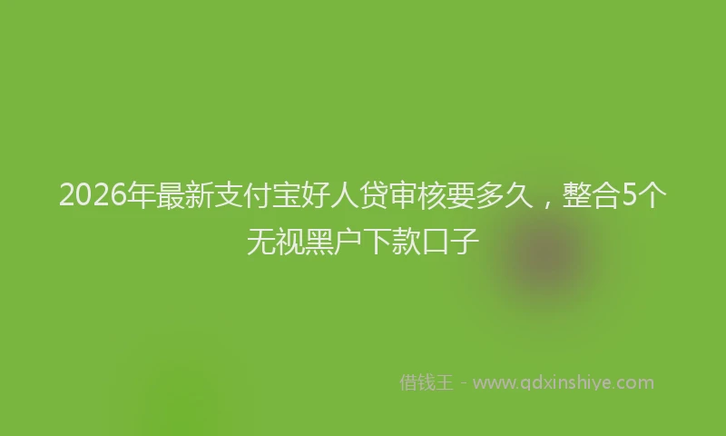 2026年最新支付宝好人贷审核要多久，整合5个无视黑户下款口子
