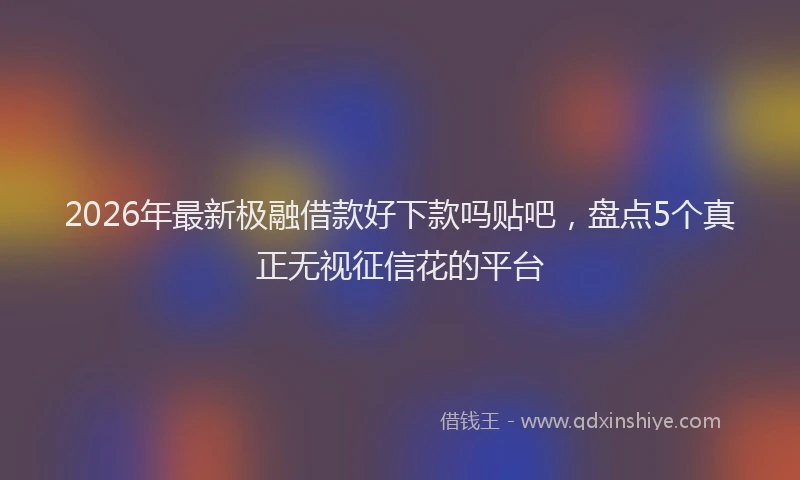 2026年最新极融借款好下款吗贴吧，盘点5个真正无视征信花的平台