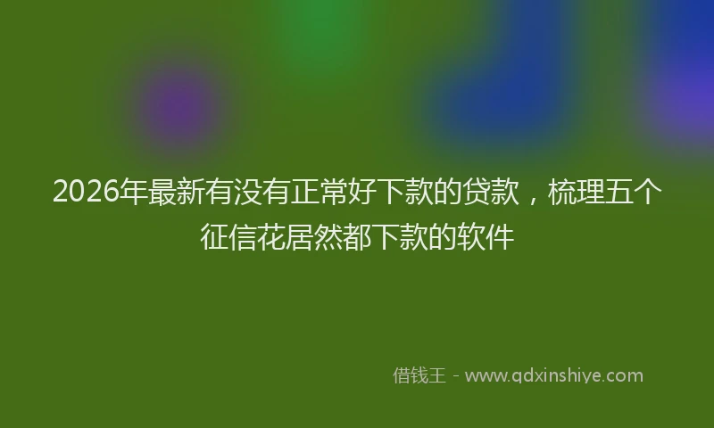 2026年最新有没有正常好下款的贷款，梳理五个征信花居然都下款的软件