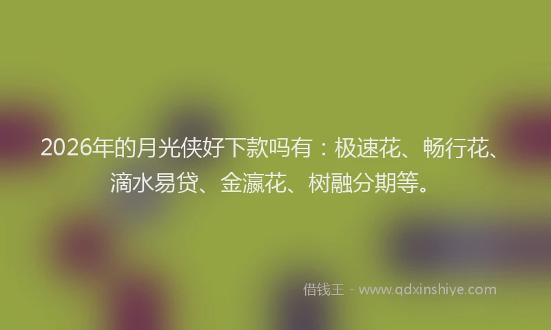 2026年的月光侠好下款吗有：极速花、畅行花、滴水易贷、金瀛花、树融分期等。